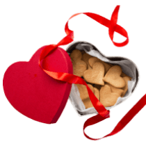Biscuit Box